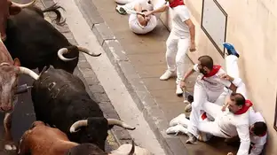 Imagen de archivo de los toros de Jandilla en los Sanfermines Imagen de archivo de los toros de Jandilla en los Sanfermines