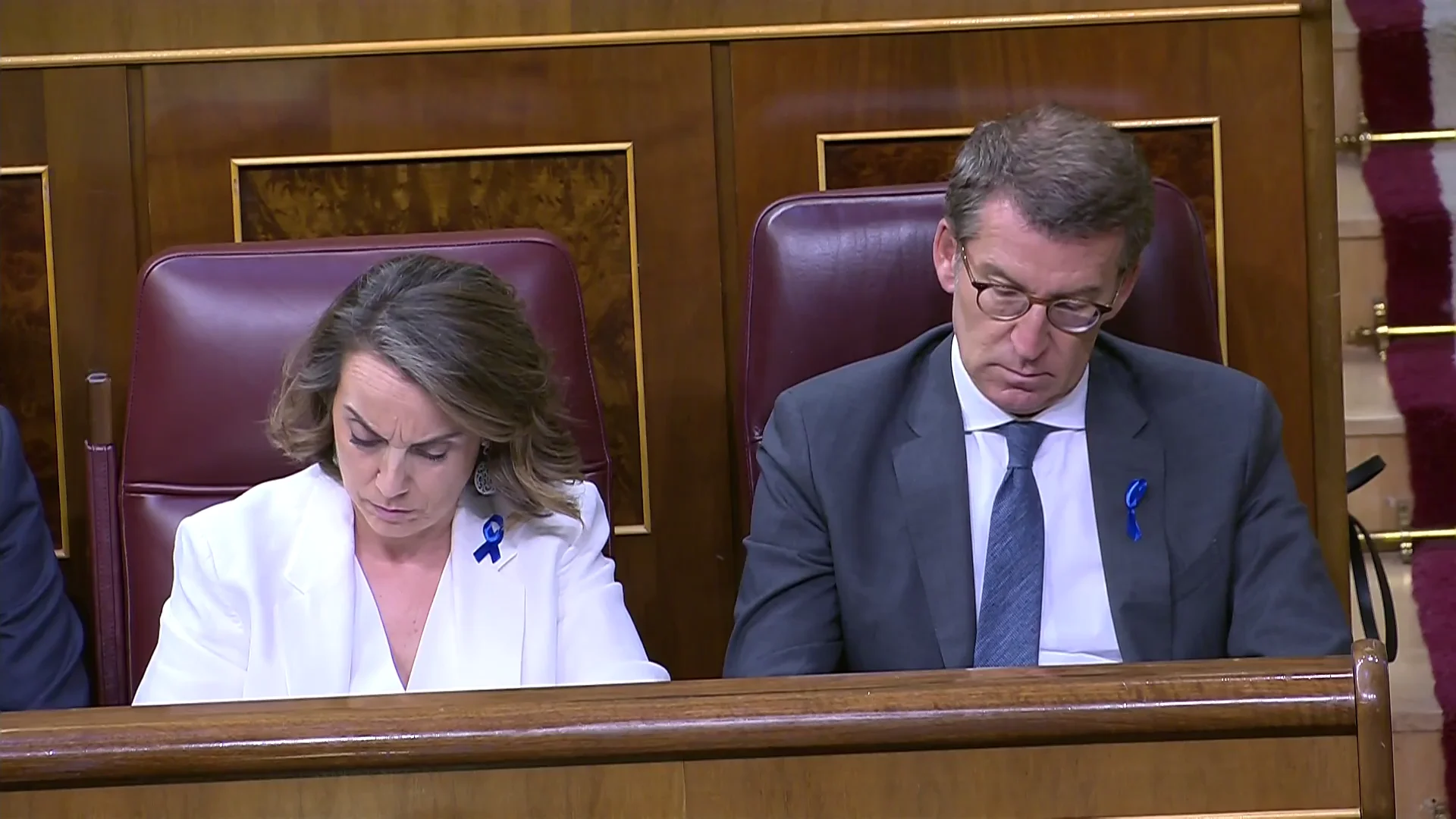 El PP se llena de lazos azules
