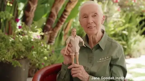 Barbie Jane Goodall: la nueva barbie hecha de plástico reciclado Barbie Jane Goodall: la nueva barbie hecha de plástico reciclado
