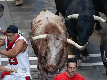 Séptimo encierro de San Fermín 2022 en directo Séptimo encierro de San Fermín 2022 en directo