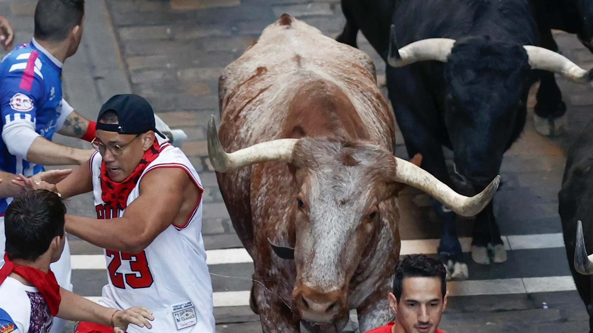 Séptimo encierro de San Fermín 2022 en directo Séptimo encierro de San Fermín 2022 en directo