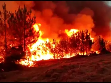 El fuego ya ha arrasado 3.500 hectáreas y avanza sin control