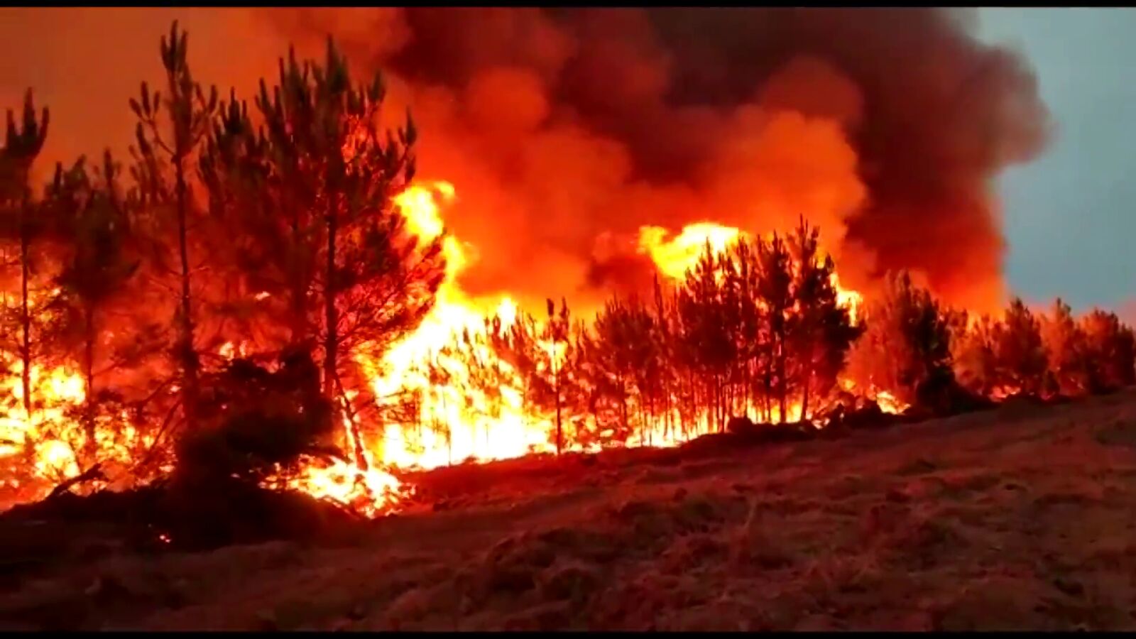 Incendio en las Hurdes: el fuerte viento podría reactivar la actividad de madrugada
