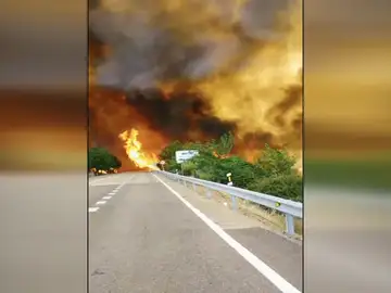 Incendio en Monfragüe