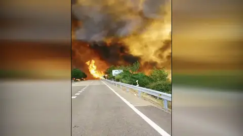 Incendio en Monfragüe Incendio en Monfragüe