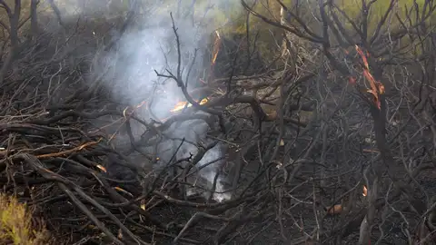 Incendio de Las Hurdes Incendio de Las Hurdes
