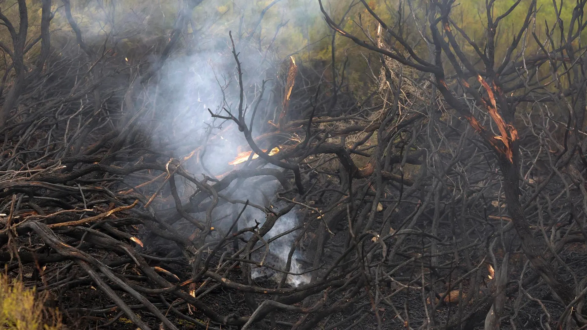Incendio de Las Hurdes