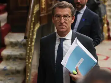 El presidente del PP, Alberto Núñez Feijóo El presidente del PP, Alberto Núñez Feijóo