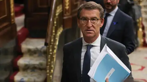 El presidente del PP, Alberto Núñez Feijóo El presidente del PP, Alberto Núñez Feijóo