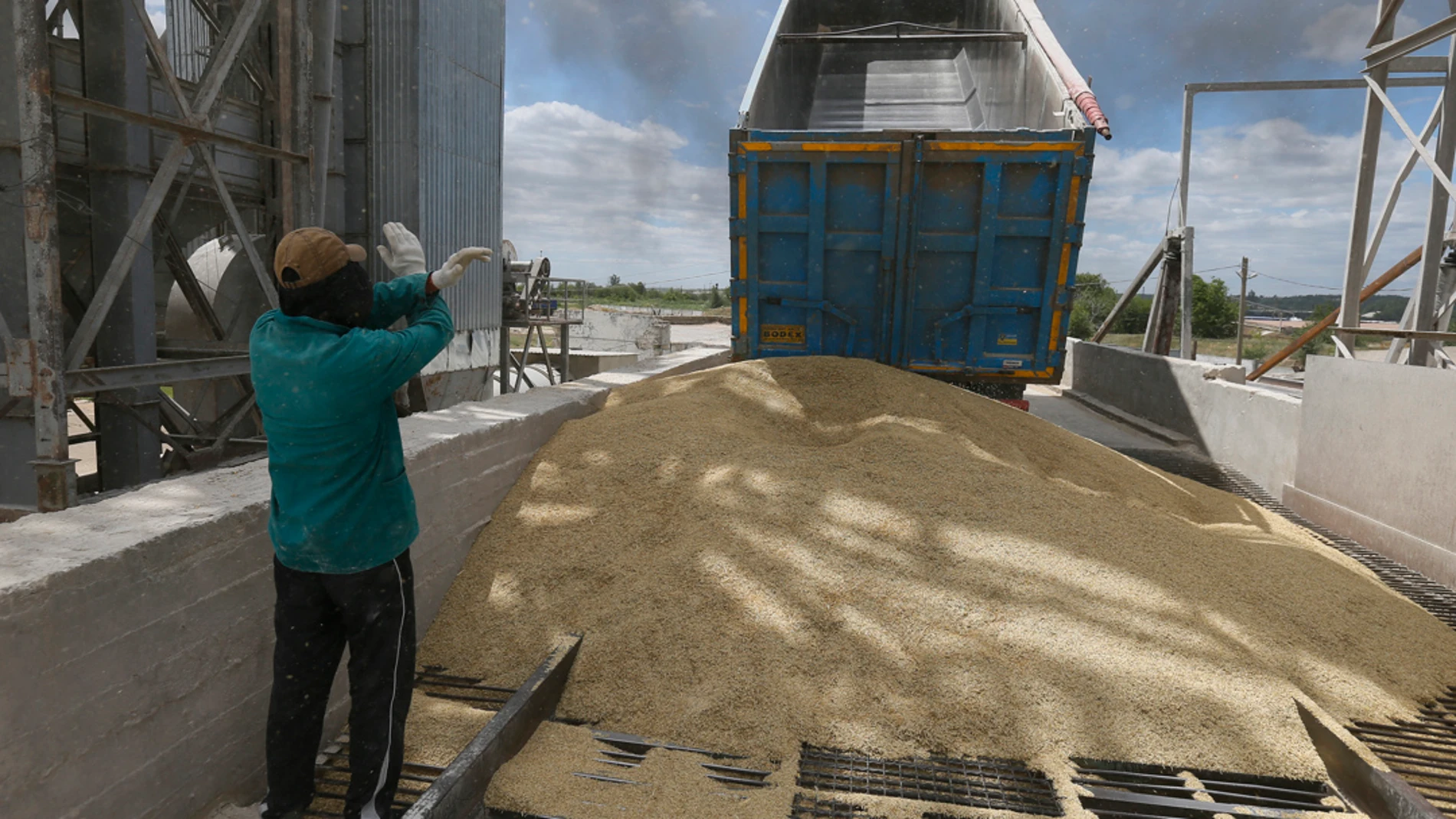 Transporte del grano de cereal en la región de Odesa, Ucrania