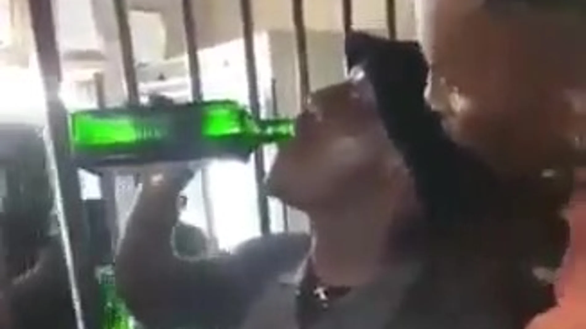 Un hombre muere en Sudáfrica tras beberse una botella entera de Jägermeister en poco más de dos minutos