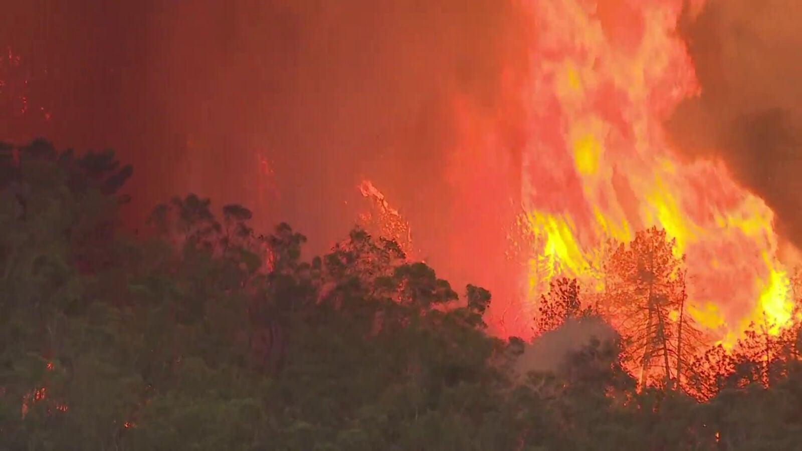Preocupación por el fuego sin control en Monfragüe, el pulmón de Extremadura