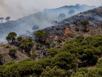 El incendio de Mijas, Málaga