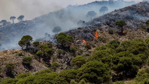 El incendio de Mijas, Málaga El incendio de Mijas, Málaga