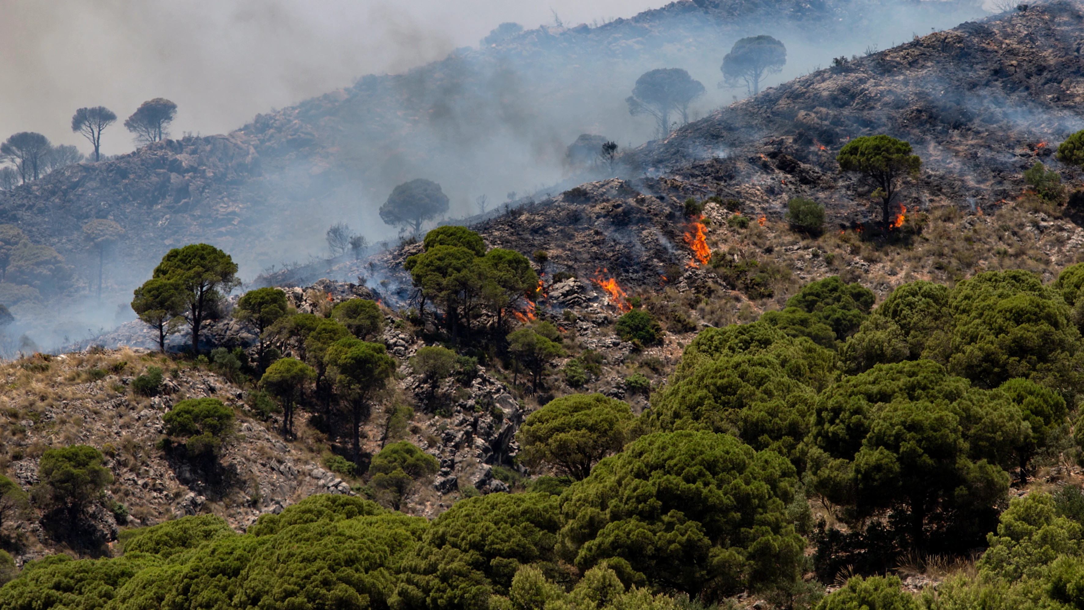El incendio de Mijas, Málaga El incendio de Mijas, Málaga