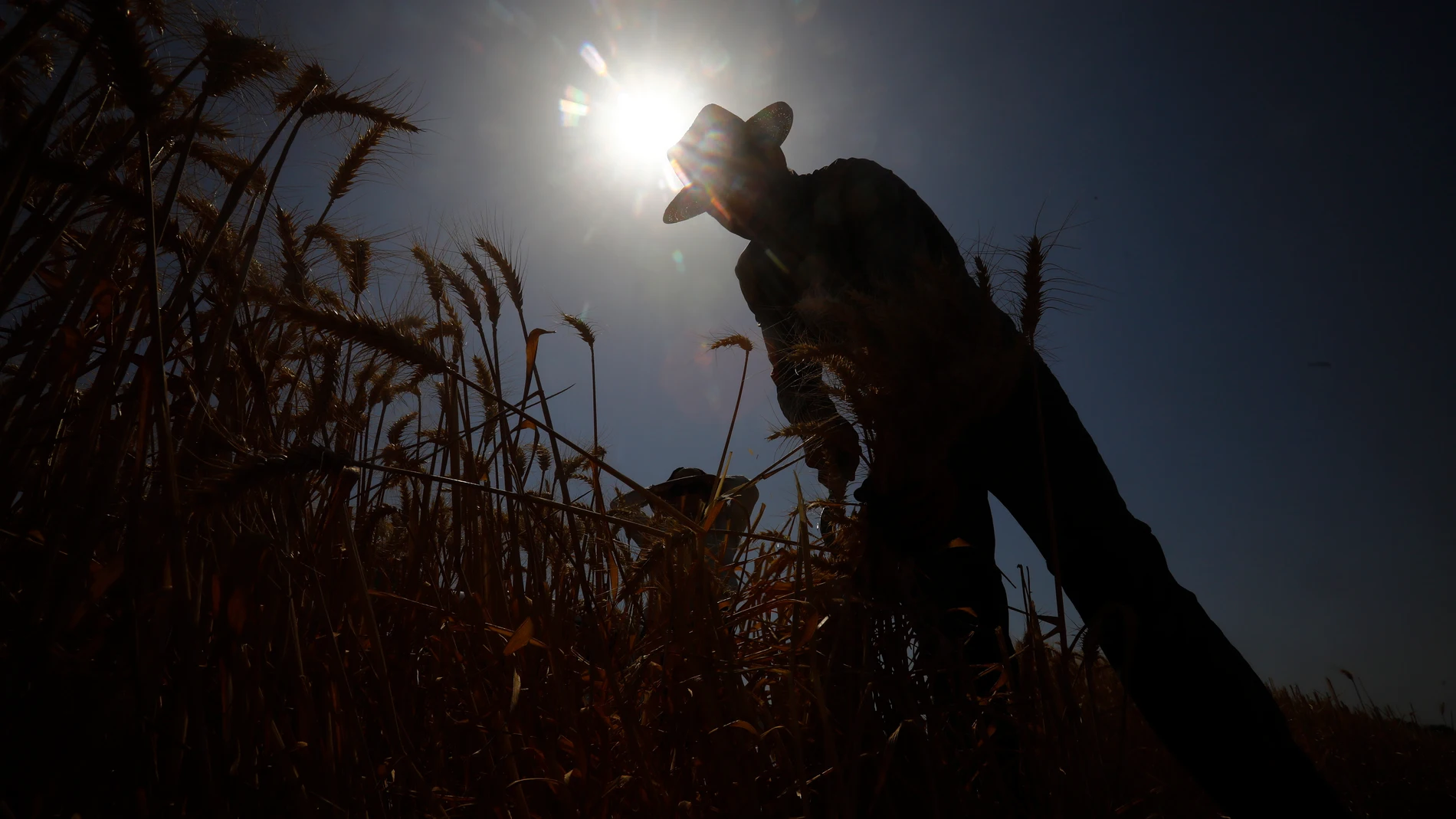 Los golpes de calor están provocando problemas de salud a la población. Los golpes de calor están provocando problemas de salud a la población.