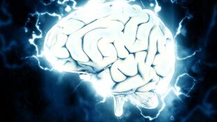 Imagen de archivo de cerebro