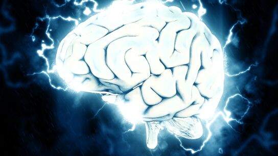 Imagen de archivo de cerebro