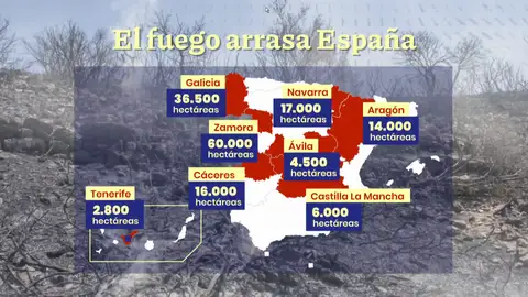 Mapa de los incendios Mapa de los incendios