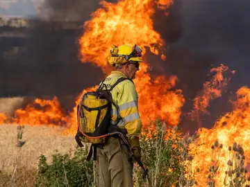 Los incendios dejan 222.800 hectáreas afectadas en el país en lo que va de año Los incendios dejan 222.800 hectáreas afectadas en el país en lo que va de año