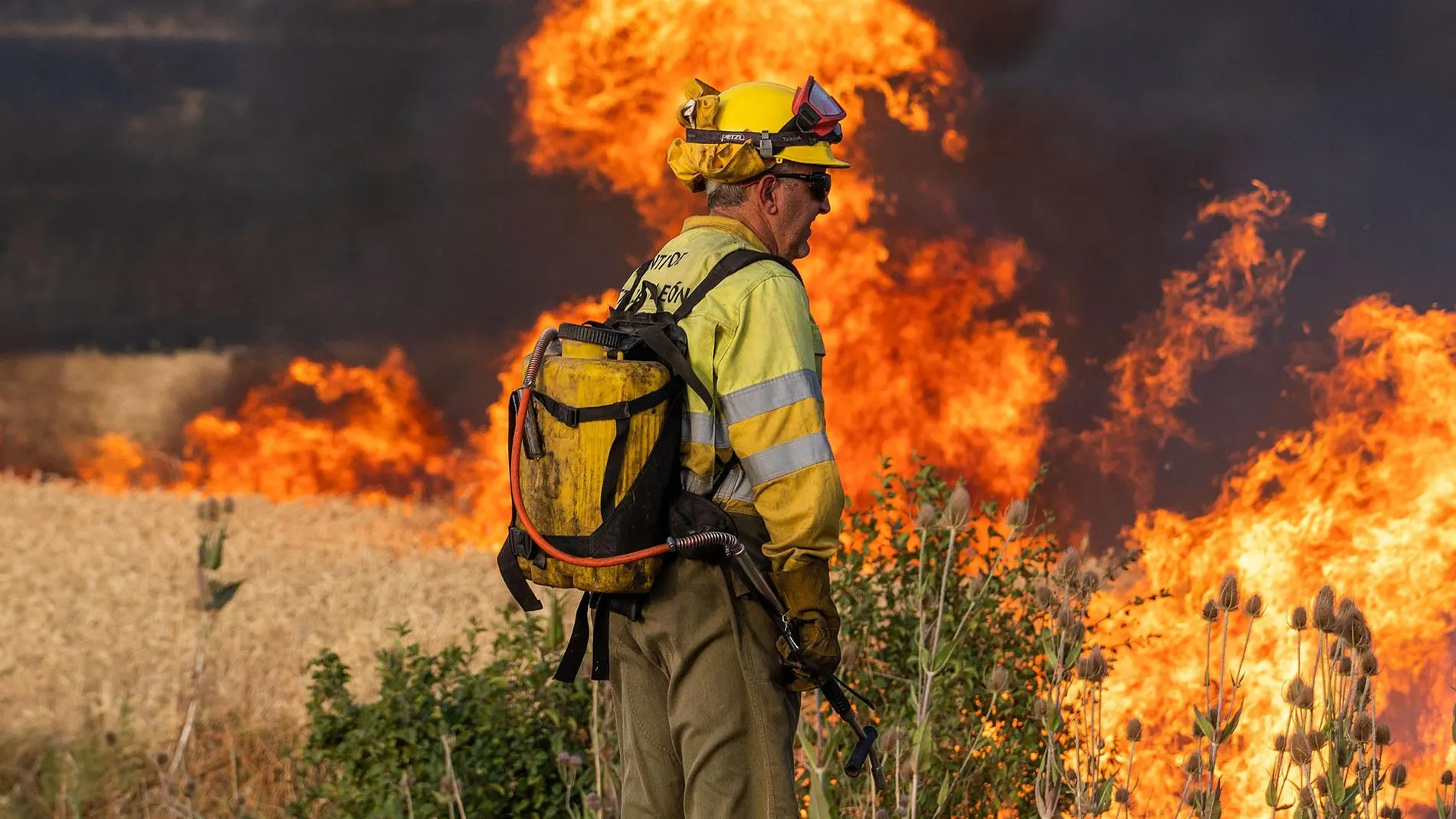 Los incendios dejan 222.800 hectáreas afectadas en el país en lo que va de año