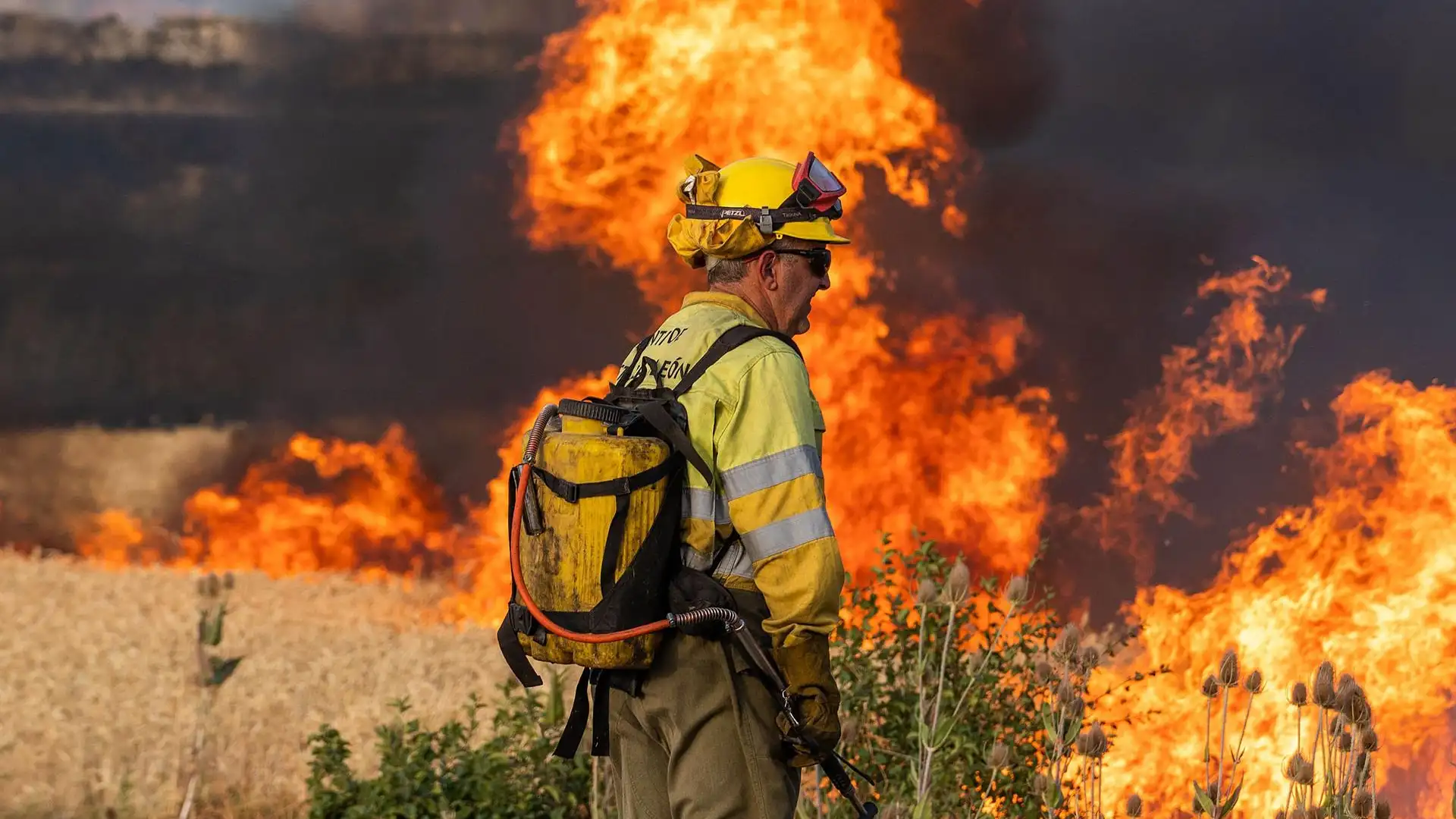 Los incendios dejan 222.800 hectáreas afectadas en el país en lo que va de año Los incendios dejan 222.800 hectáreas afectadas en el país en lo que va de año