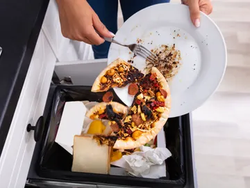 Comida despediciada en la basura. Comida despediciada en la basura.