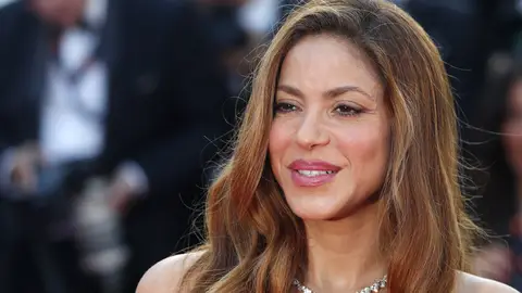La cantante Shakira La cantante Shakira