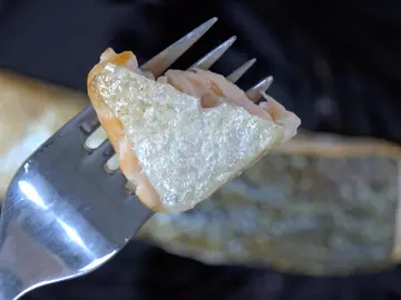 Piel del pescado Piel del pescado