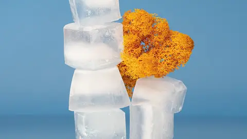 Hielo Hielo