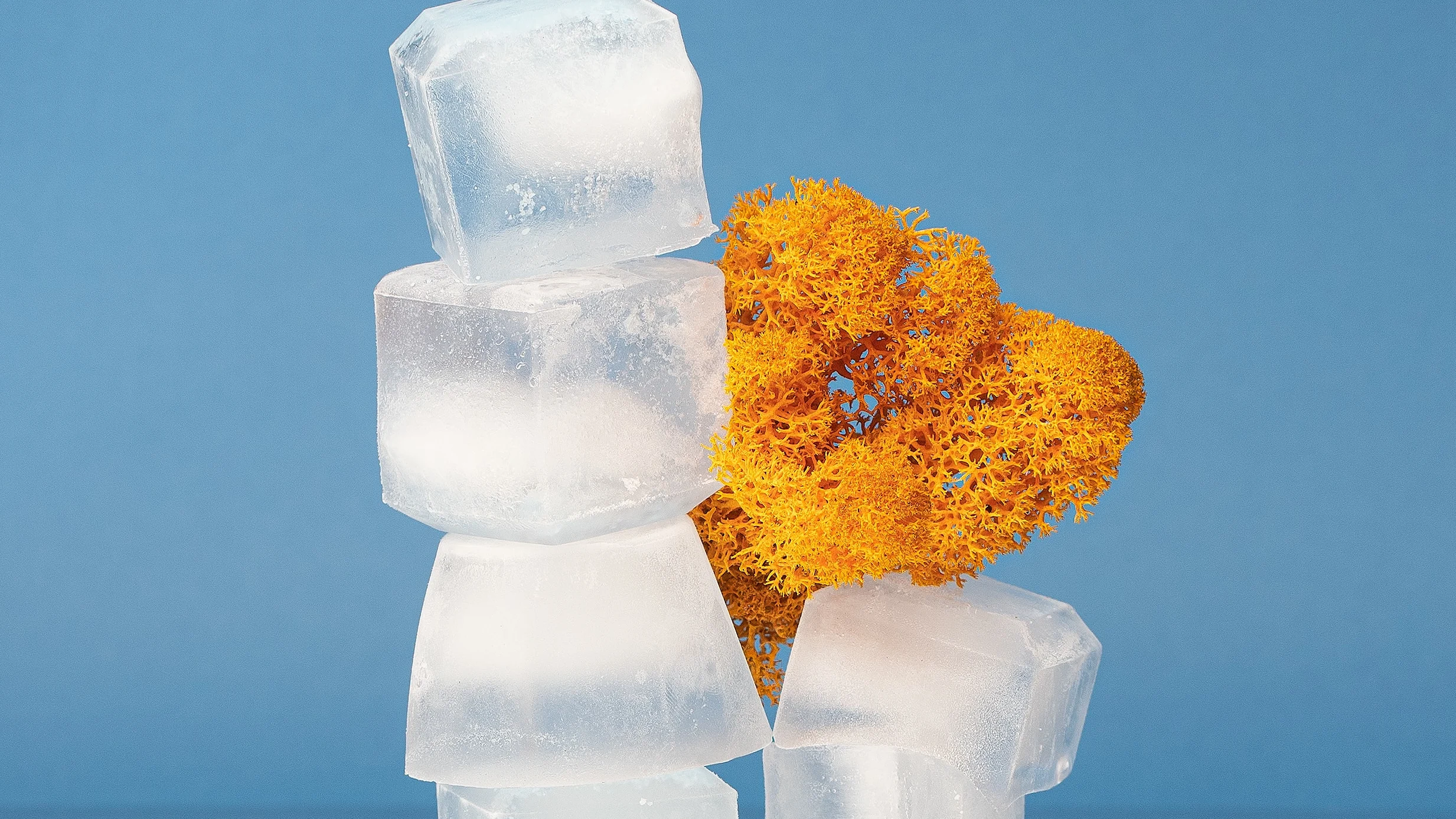Hielo Hielo