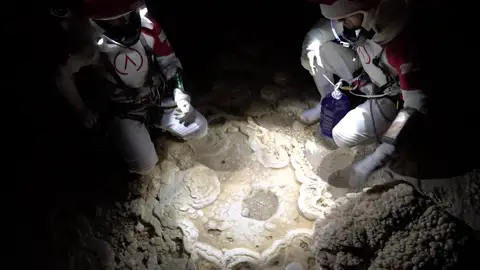 Astronautas Astronautas