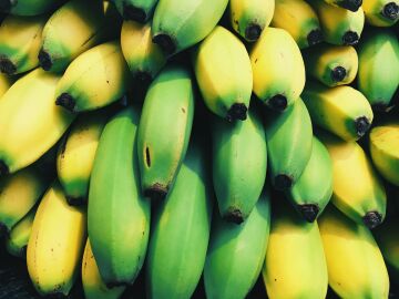 Los plátanos amarillos son los más conocidos, pero los verdes son muy buenos también para la salud