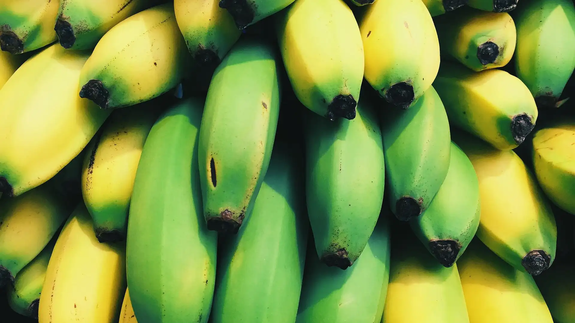 Los pl&aacute;tanos amarillos son los m&aacute;s conocidos, pero los verdes son muy buenos tambi&eacute;n para la salud