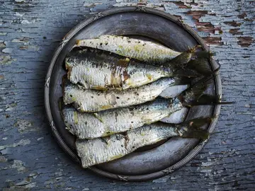 pescado pescado