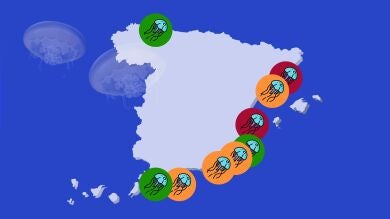 El mapa de las playas de España con más medusas en sus aguas