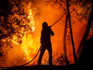 Incendios en España hoy: Castrelo de Miño (Ourense)