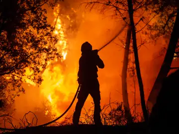Incendios en España hoy: Castrelo de Miño (Ourense) Incendios en España hoy: Castrelo de Miño (Ourense)
