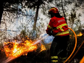 Bombero en un incendio forestal Bombero en un incendio forestal