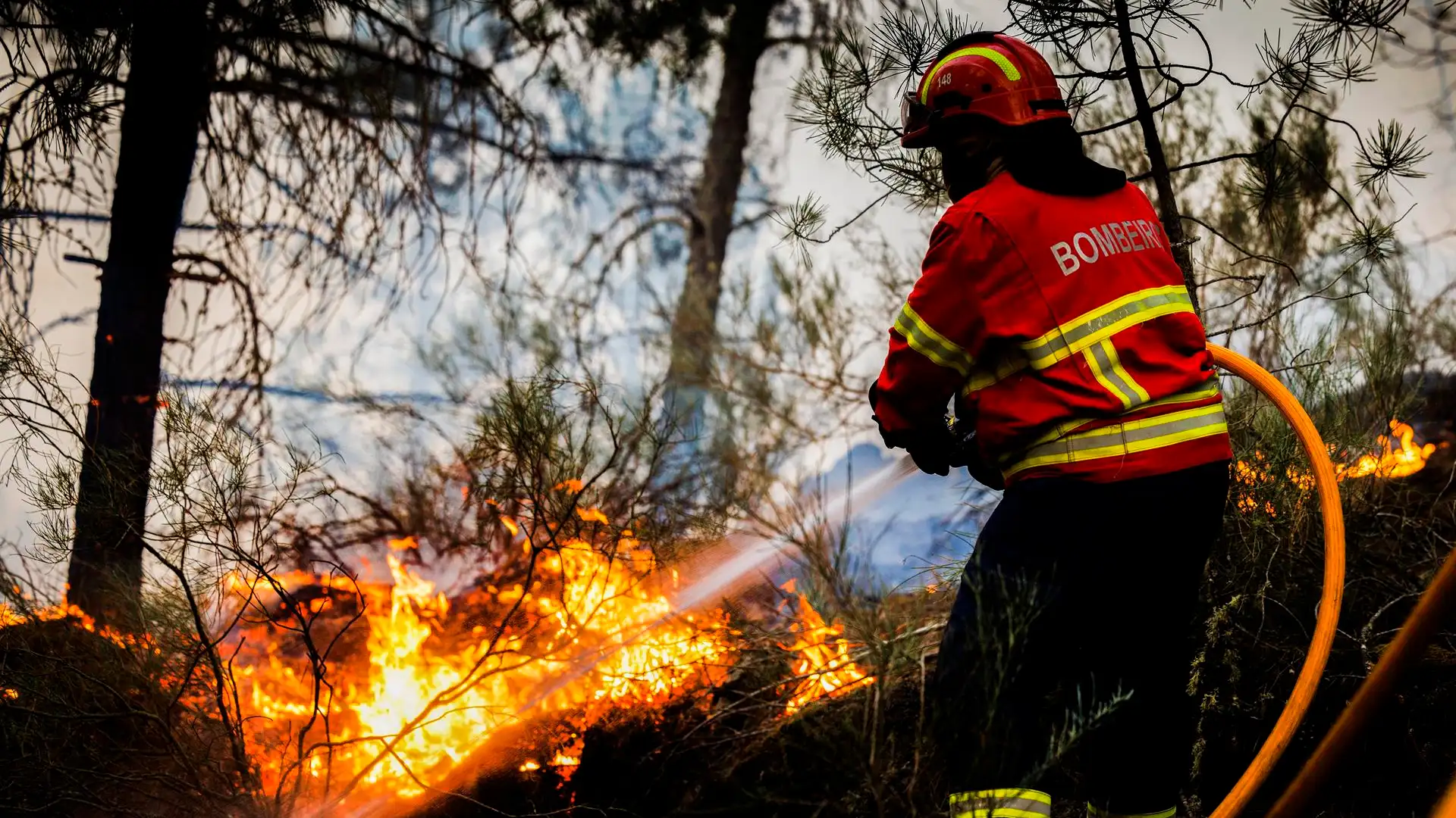 Bombero en un incendio forestal Bombero en un incendio forestal