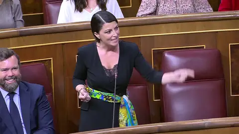 Macarena Olona en una sesión del Congreso de los Diputados Vox