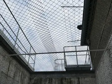 Más de 80 detenidos por violar en grupo a ocho mujeres en Sudáfrica Más de 80 detenidos por violar en grupo a ocho mujeres en Sudáfrica