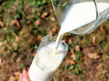 Los ganaderos denuncian los altos costes de producción y las insuficientes subvenciones Los ganaderos denuncian los altos costes de producción y las insuficientes subvenciones