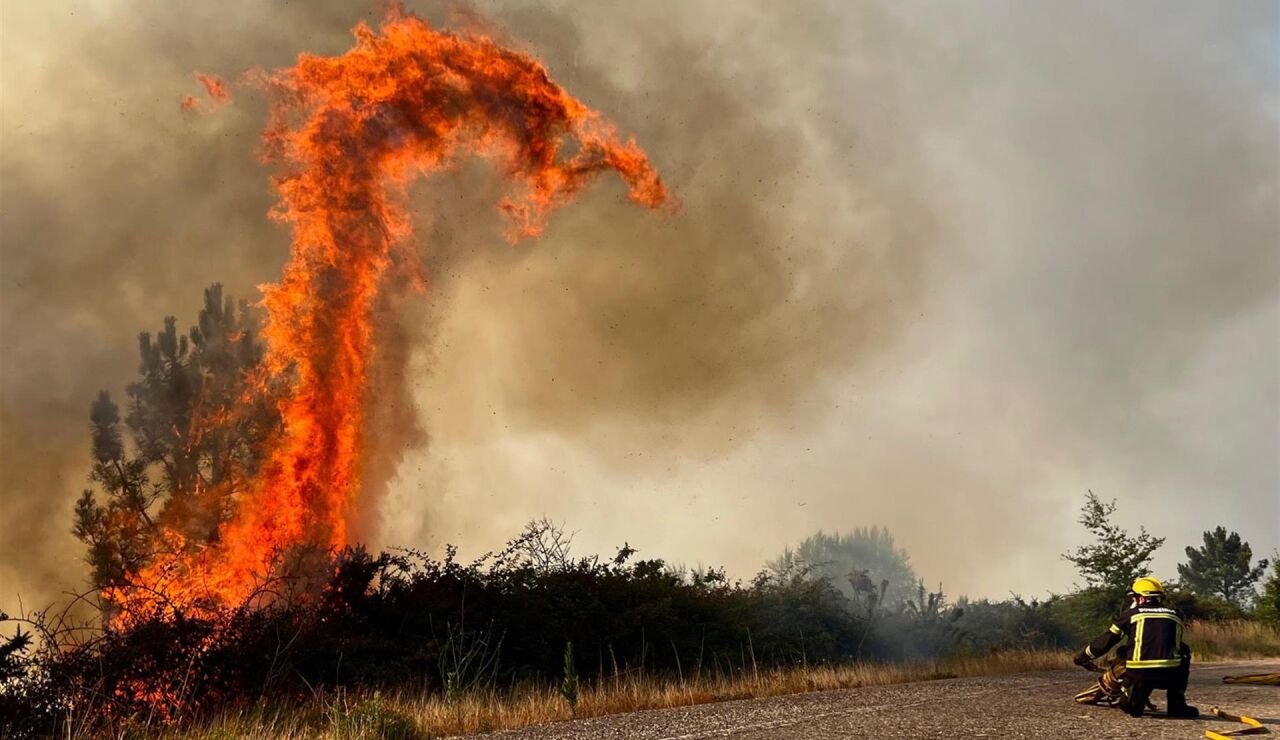 Incendio forestal en Pontevedra