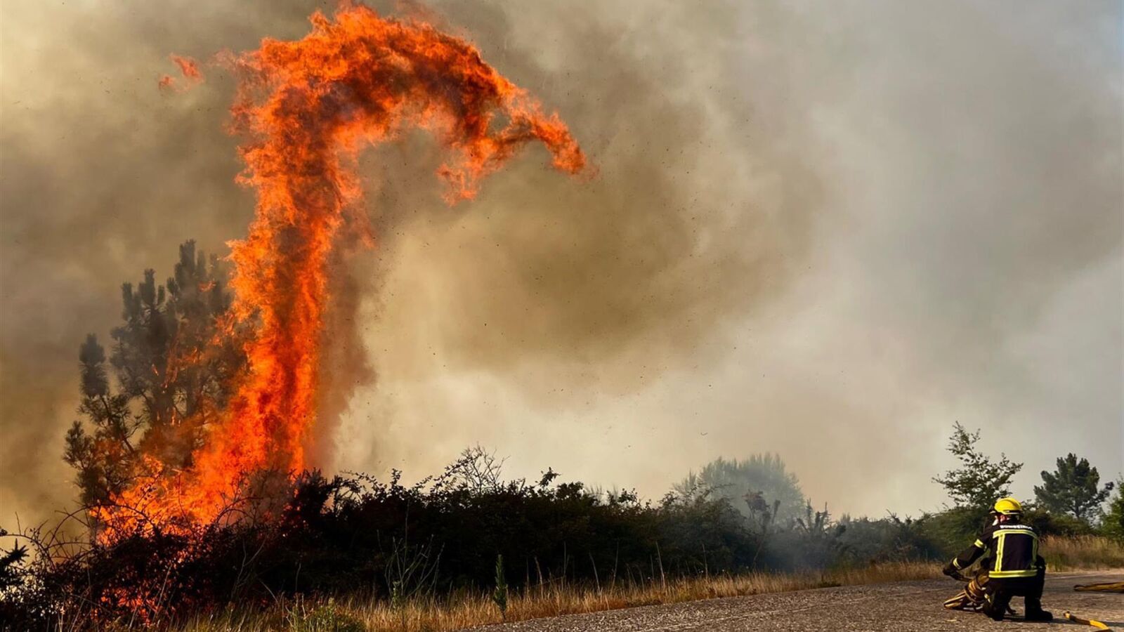 Los incendios no dan tregua en España: el fuego arrasa más de 4.000 hectáreas en Galicia y se extiende en Ávila