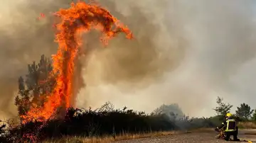 Este es el plan contra incendios forestales aprobado hoy por el Gobierno Este es el plan contra incendios forestales aprobado hoy por el Gobierno