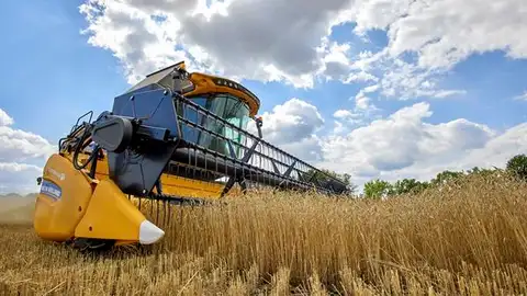 Una cosechadora recolecta trigo en un campo cerca de Járkov