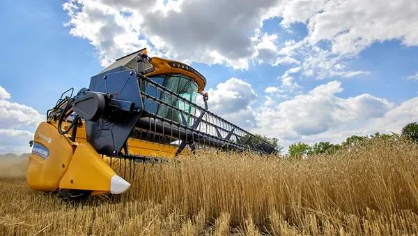 Una cosechadora recolecta trigo en un campo cerca de J&aacute;rkov