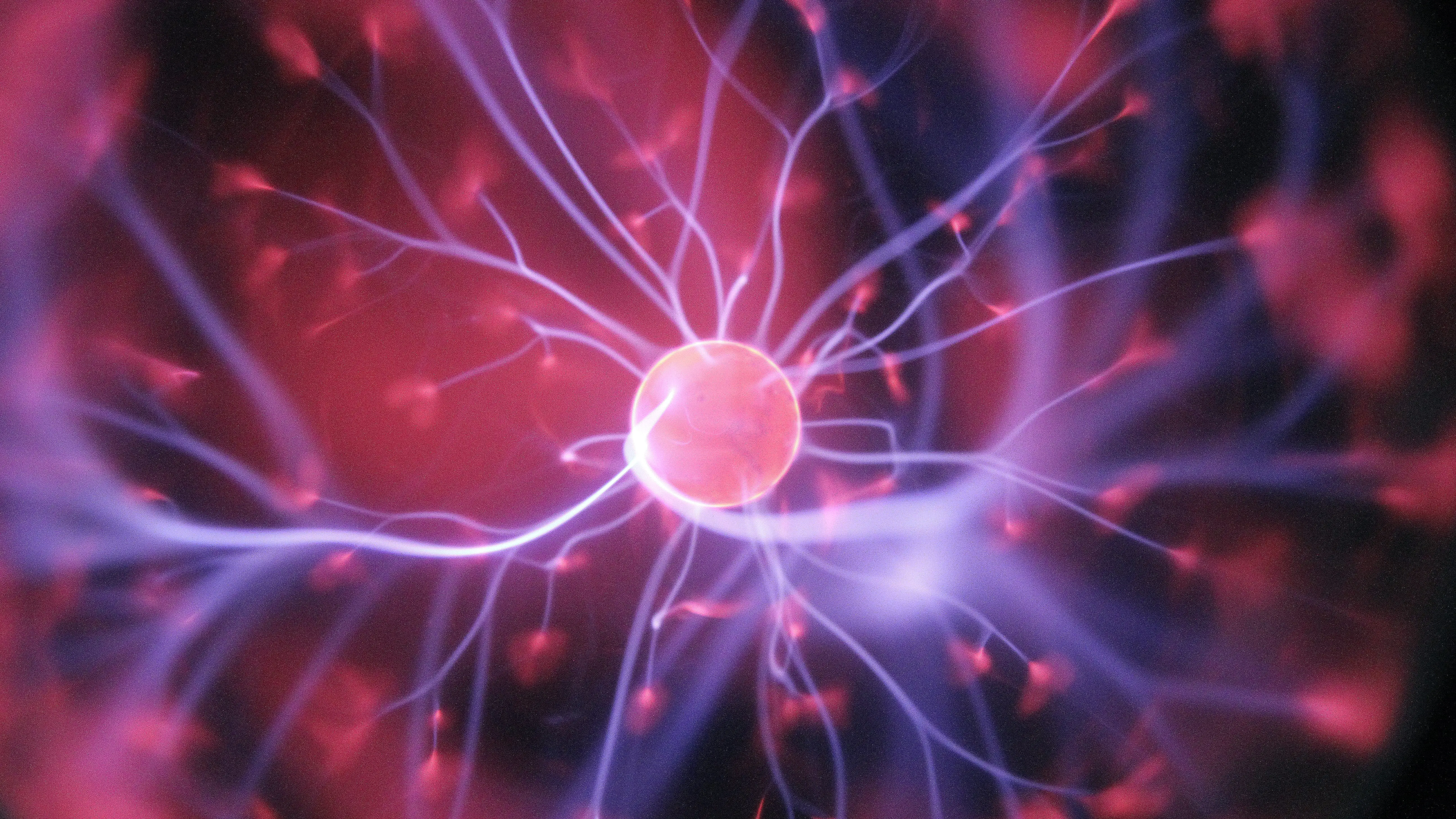 Hallan una posible cura del Parkinson Hallan una posible cura del Parkinson