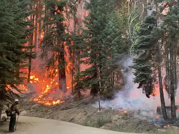 incendios forestales eeuu